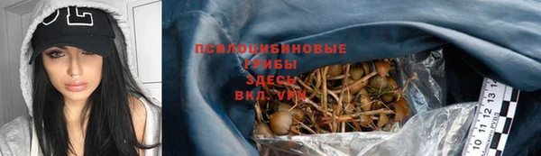 гидра Михайловск