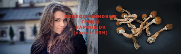 крисы Михайловка