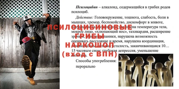 крисы Михайловка