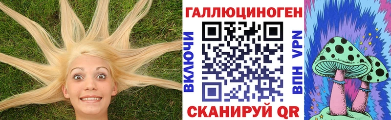 Псилоцибиновые грибы ЛСД  Купить  Шенкурск 