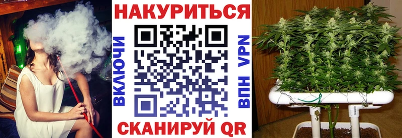 Купить закладки  Шенкурск  Конопля White Widow 